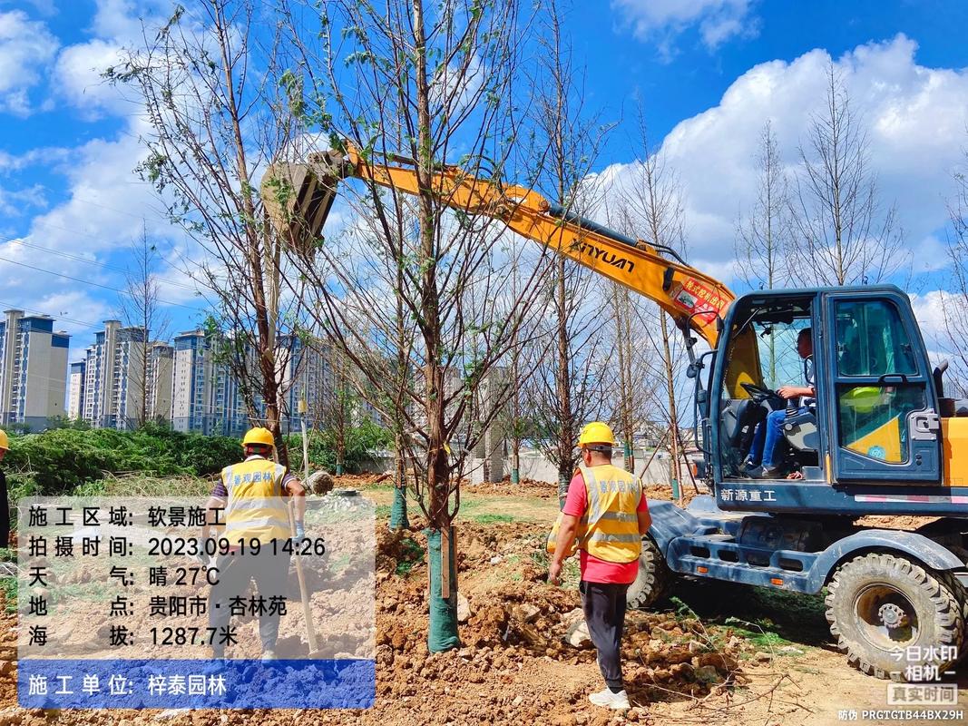 園林綠化的匠心構(gòu)筑 從苗木培育到假山造景的施工現(xiàn)場(chǎng)實(shí)錄