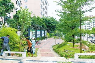 定鼎園林 專(zhuān)業(yè)園林景觀(guān)工程施工一站式解決方案