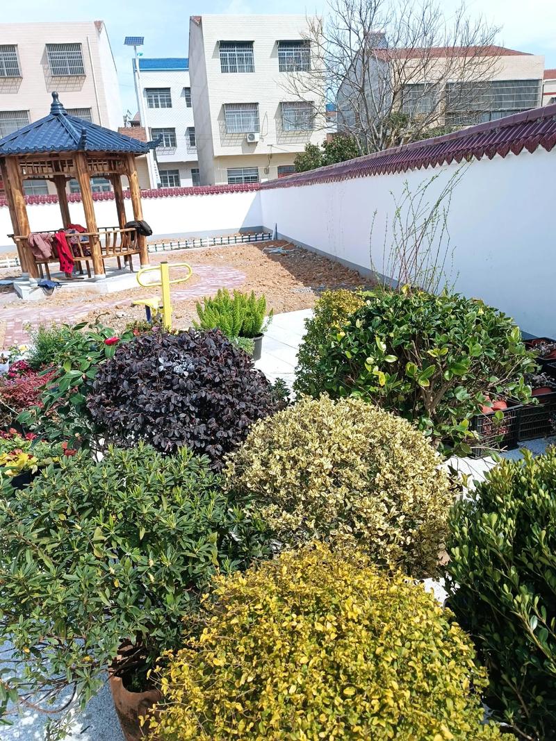 單位綠化施工現(xiàn)場(chǎng)紀(jì)實(shí) 園林景觀(guān)中的假山營(yíng)造藝術(shù)